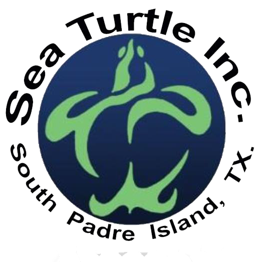 Sea Turtle, Inc. logo