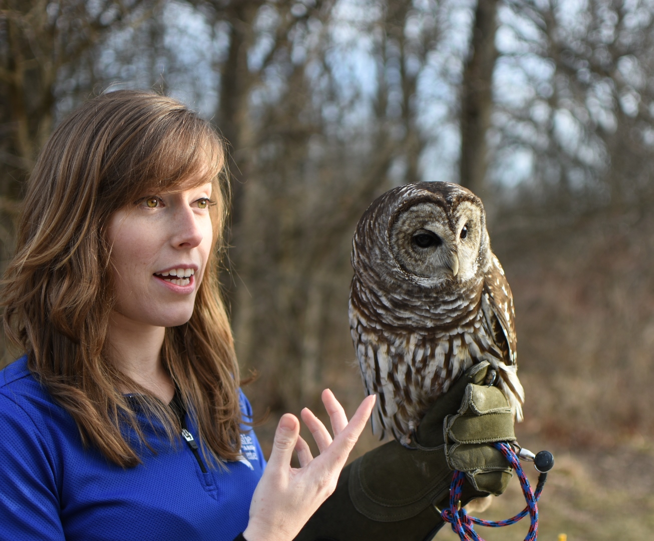 From Digestion to Discovery: Exploring Owl Pellets in the